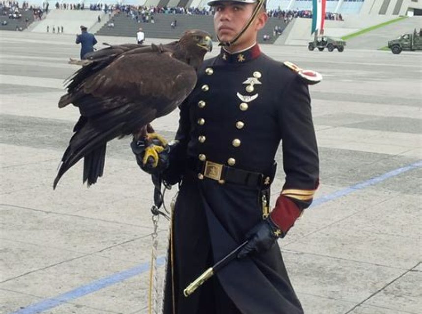Mexican Military Uniform