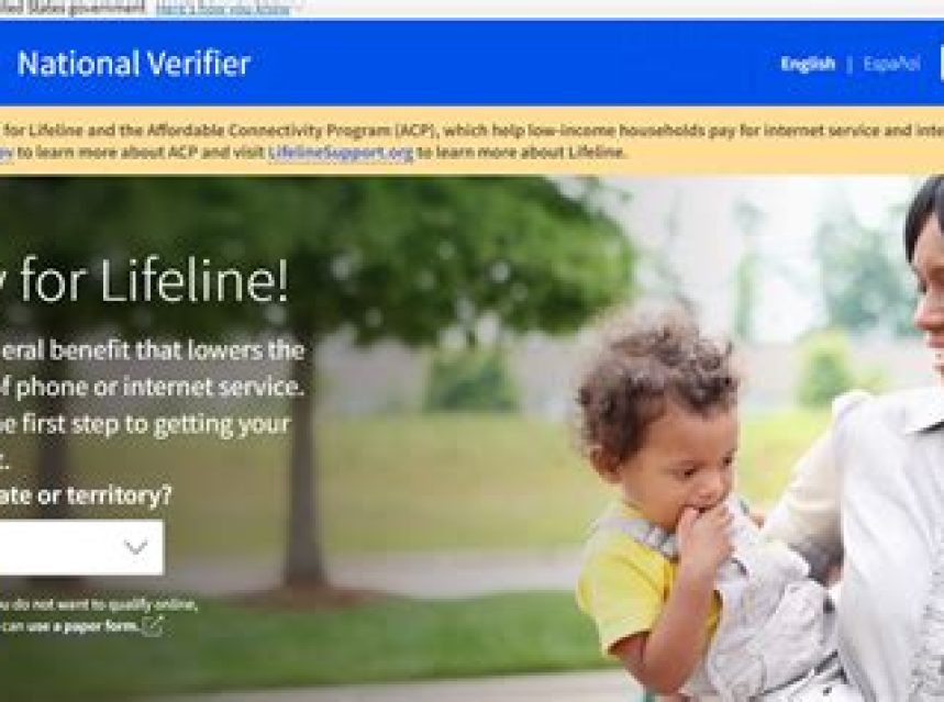 Lifeline National Verifier Application Form